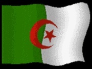 Solidarit algerienne pour GAZA 104591